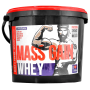 Whey Mass Gain 3000 g - Megabol